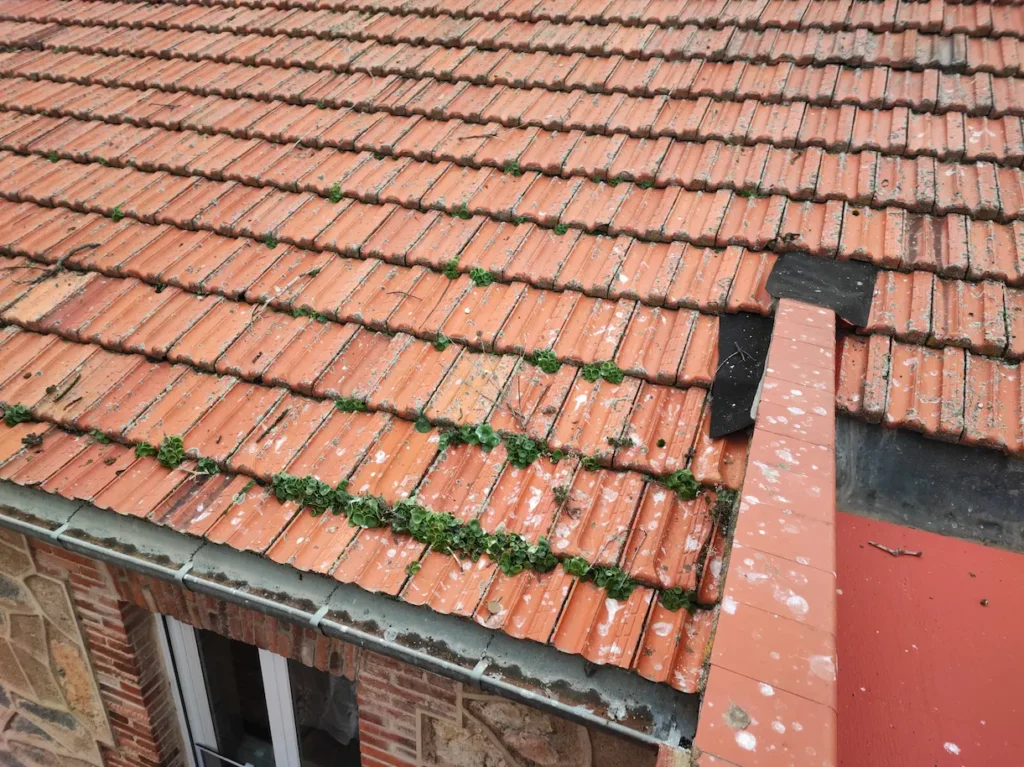 Tejado con tejas sucias, musgo y vegetación acumulada que provocaban filtraciones hacia la vivienda inferior en Segovia antes de su reparación y limpieza profesional.